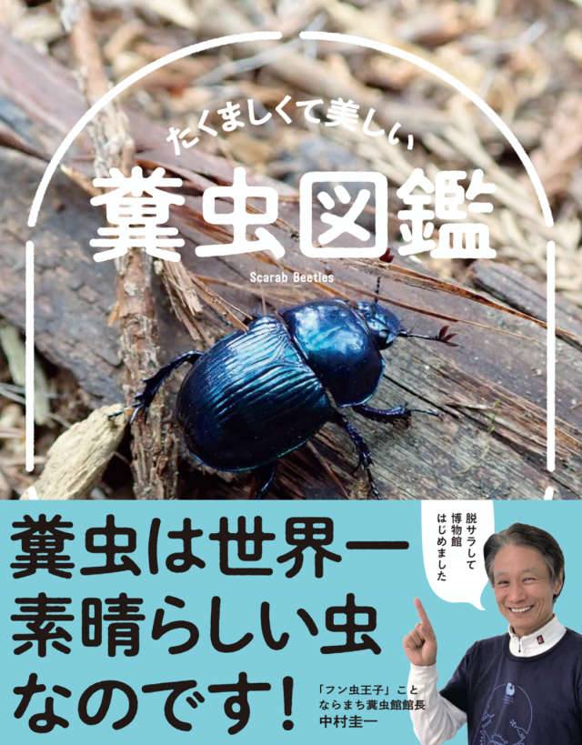 ならまち糞虫館館長　中村圭一さんに教わる糞虫観察＆標本づくり